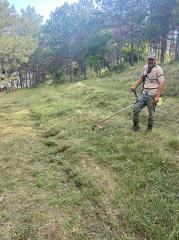 Tatarköy göletinde ilaçlama ve ot biçme yapıldı