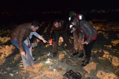 Hayvanseverlerden gece yarısı baskını