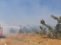 Pınarhisar Ataköy’de orman yangını