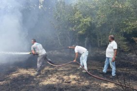 Kırklareli'nde çıkan orman yangını söndürüldü