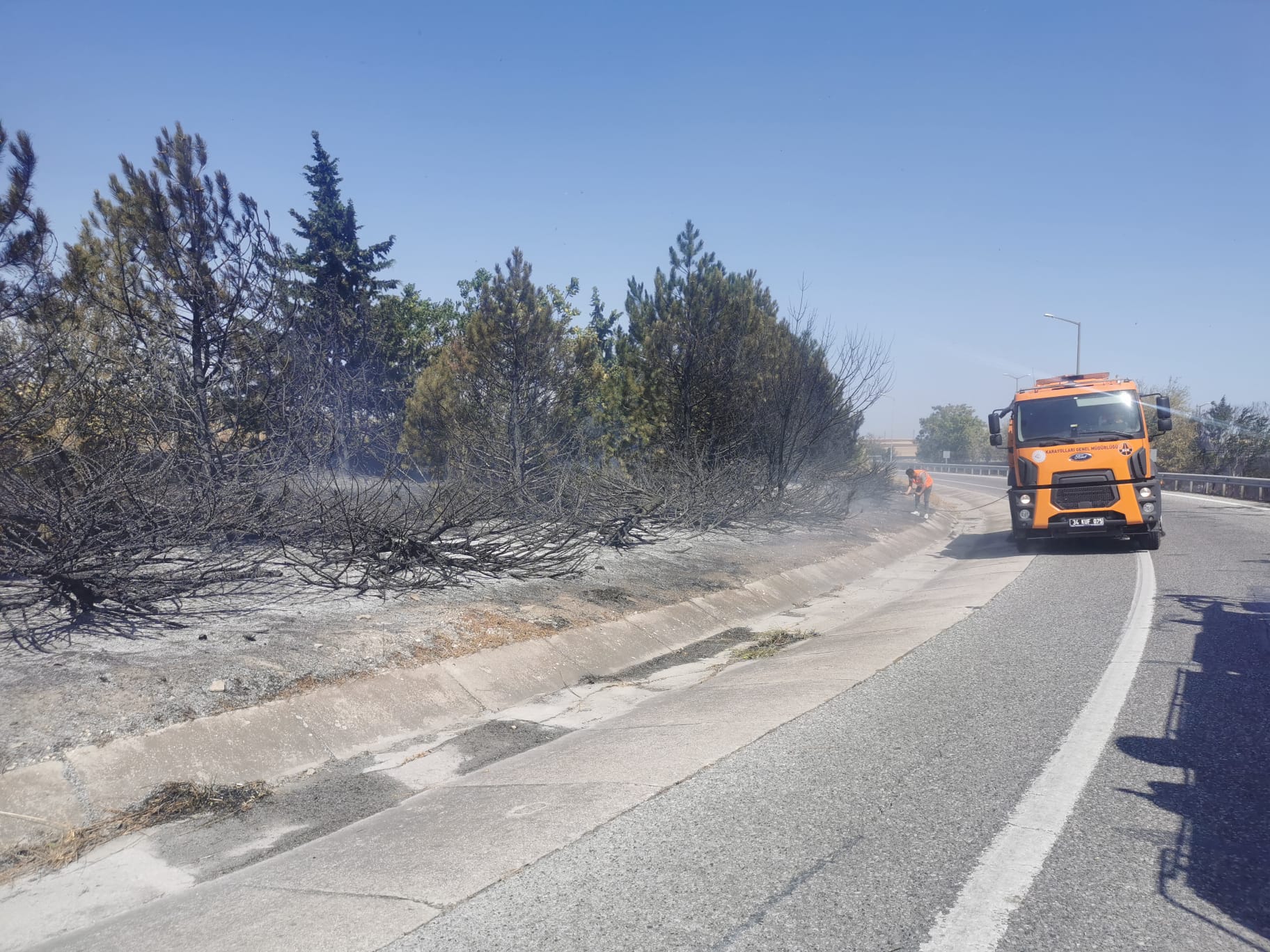 Kırklareli'nde anızda başlayıp ağaçlık alana sıçrayan yangına müdahale ediliyor