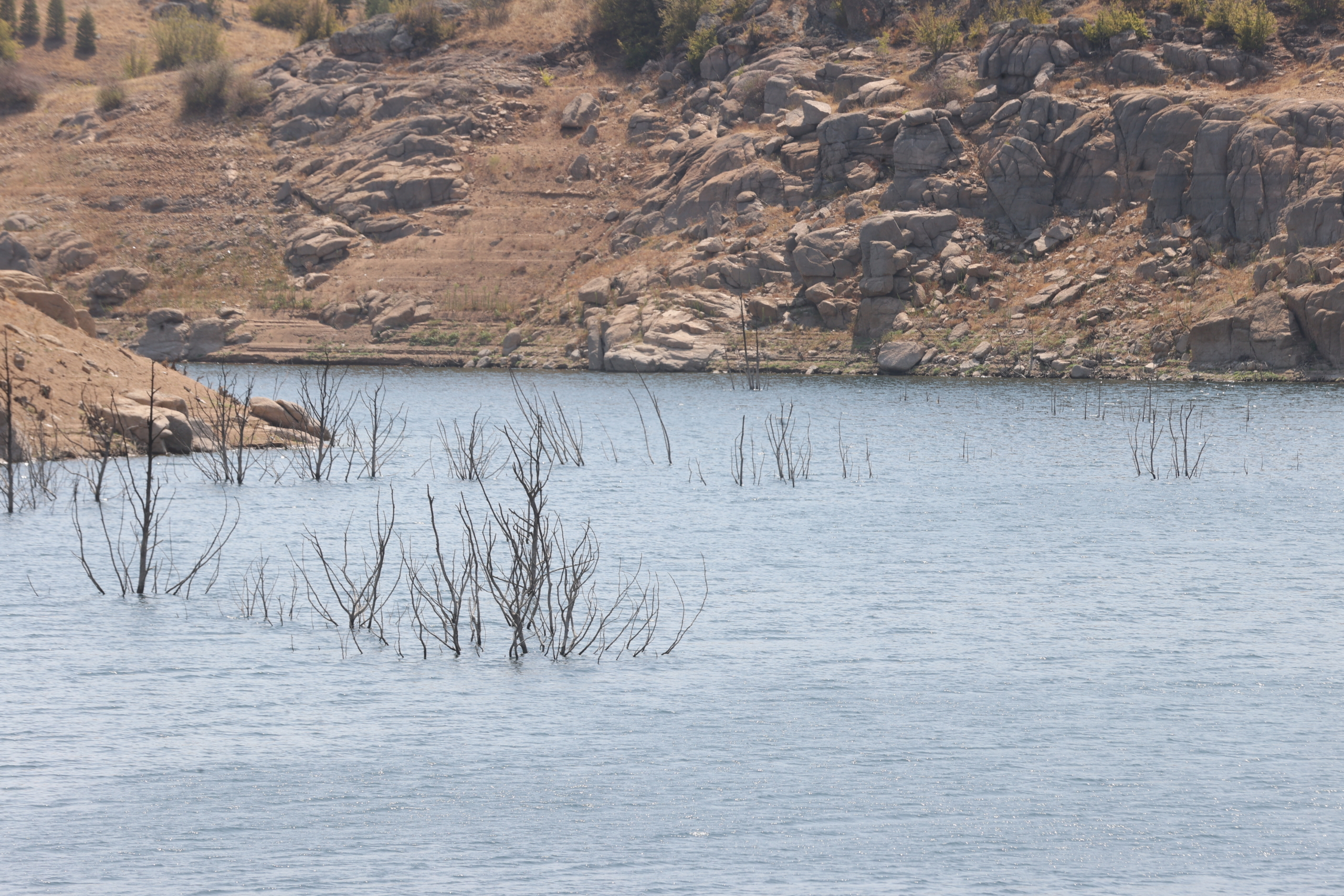 Trakya'daki barajların ortalama doluluk oranı yüzde 32'ye geriledi