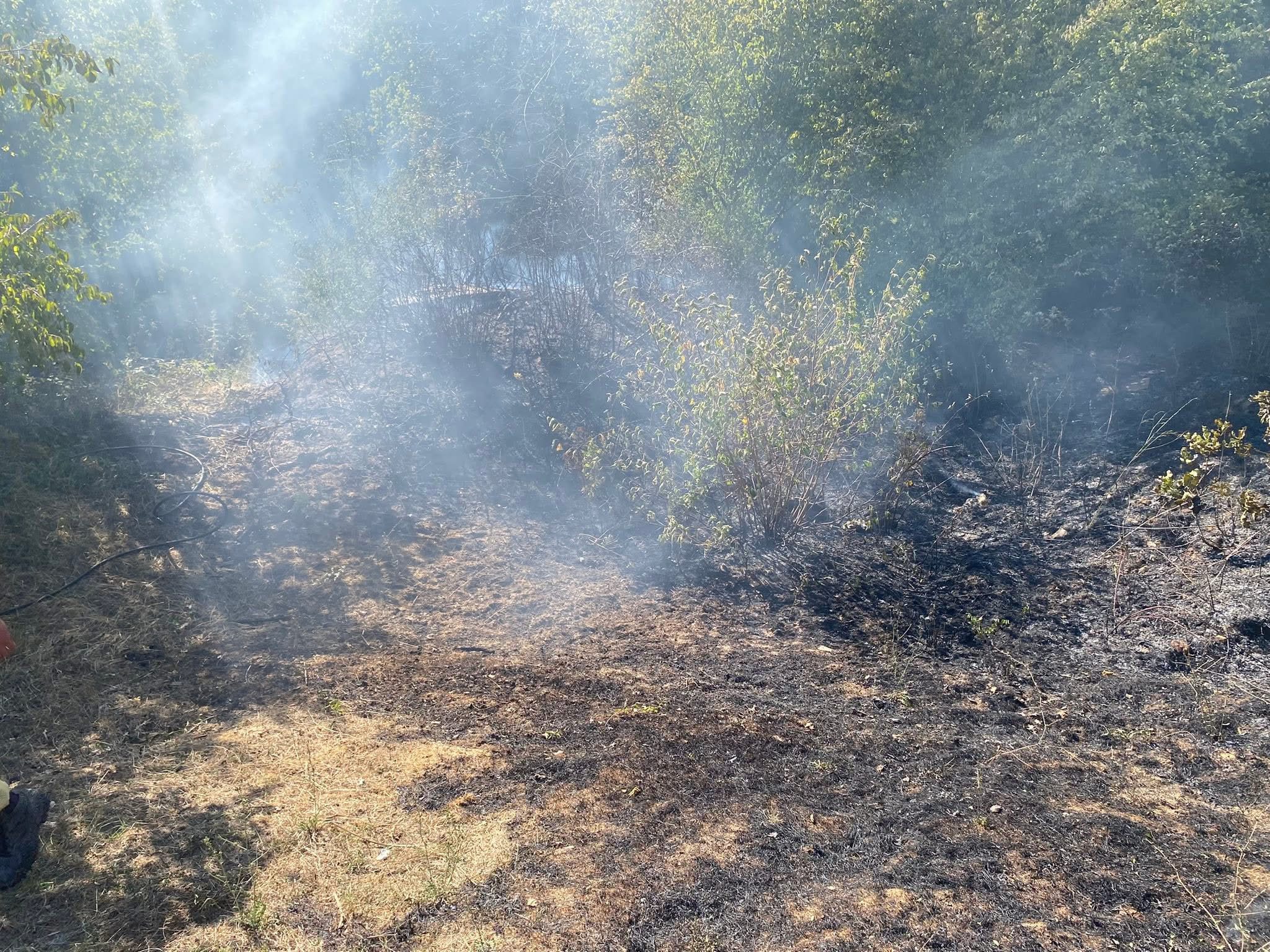 Kırklareli'nde çıkan orman yangını söndürüldü