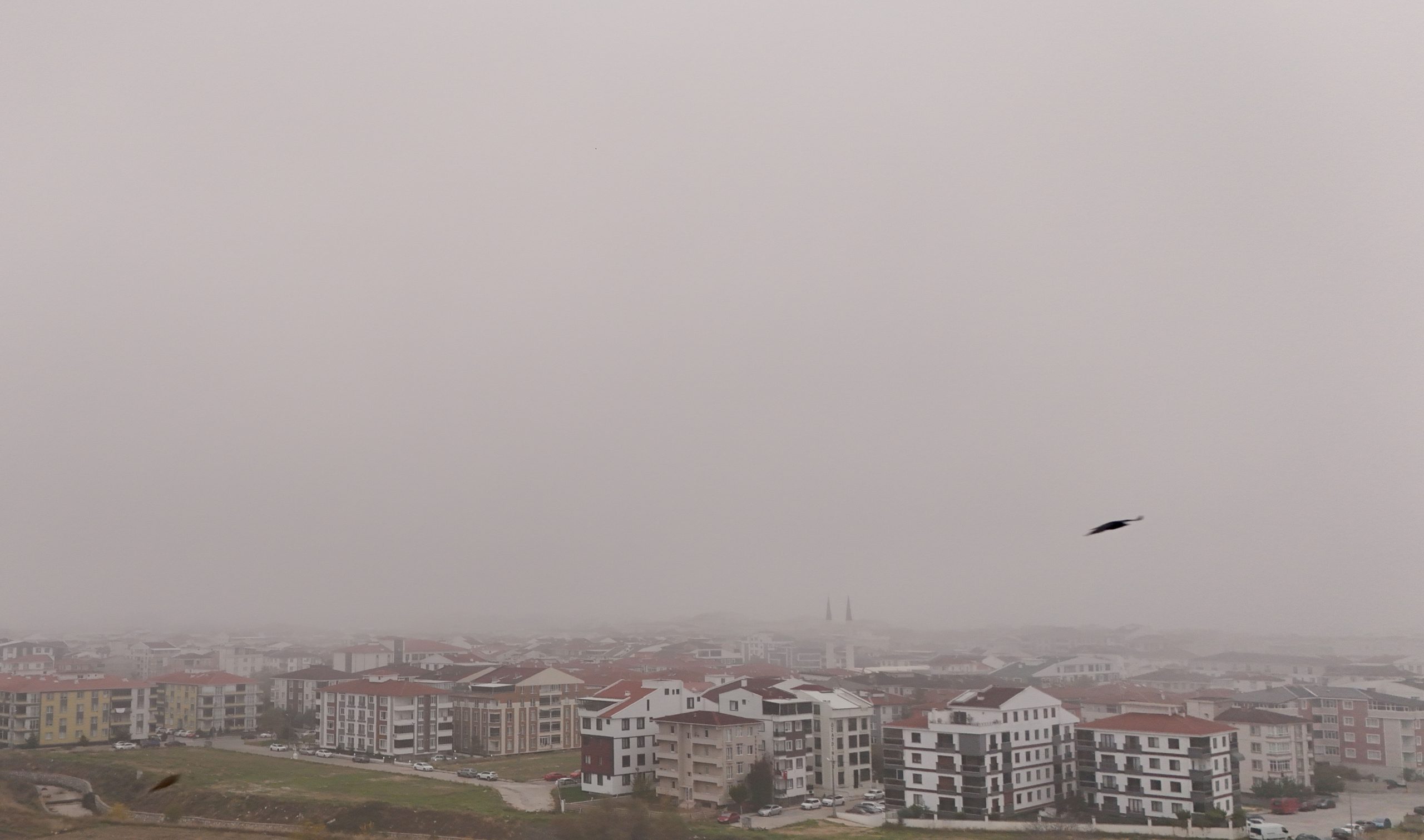 Trakya'da sis etkili oldu