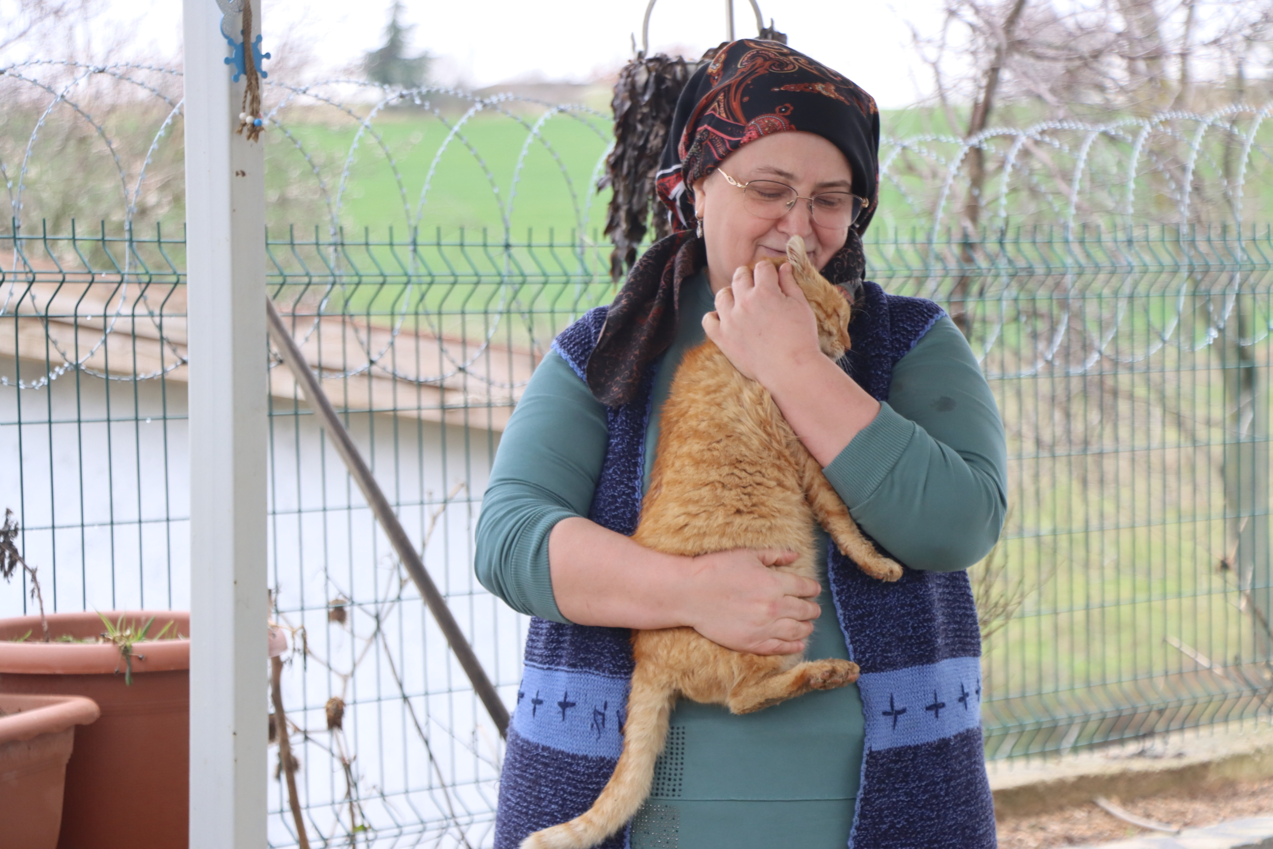 Doktor önerisiyle başlayan kedi sevgisi 40 kedilik yuvaya dönüştü