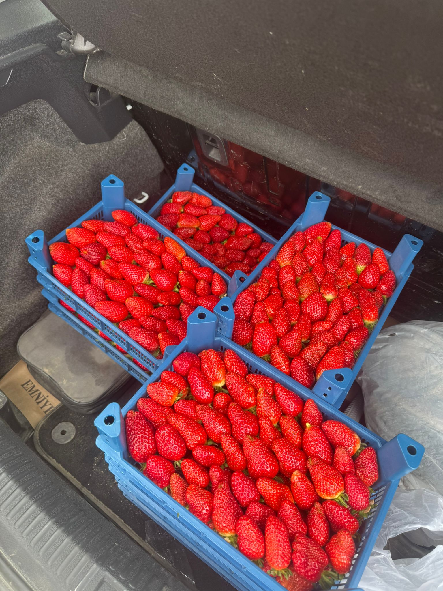 285a7afb-b209-4cca-8239-24979dec2ef0