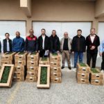 Kırklareli'nde üreticilere domates fidesi dağıtıldı