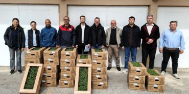 Kırklareli'nde üreticilere domates fidesi dağıtıldı