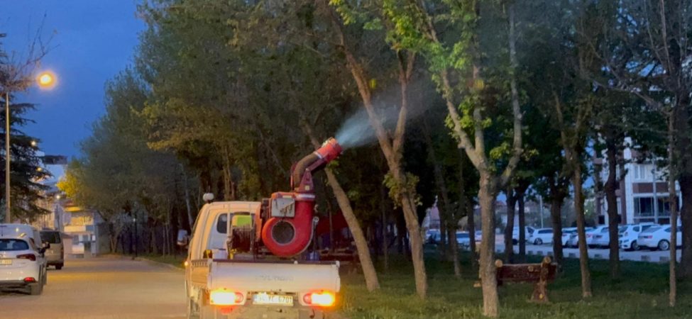 Kırklareli'nde haşere ve sineklere karşı ilaçlama