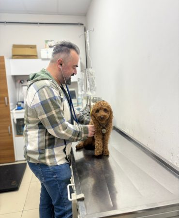 WhatsApp Image 2026-04-20 at 10.16.34