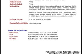 0201a20a-a43b-42e5-b47e-e9d43476c204
