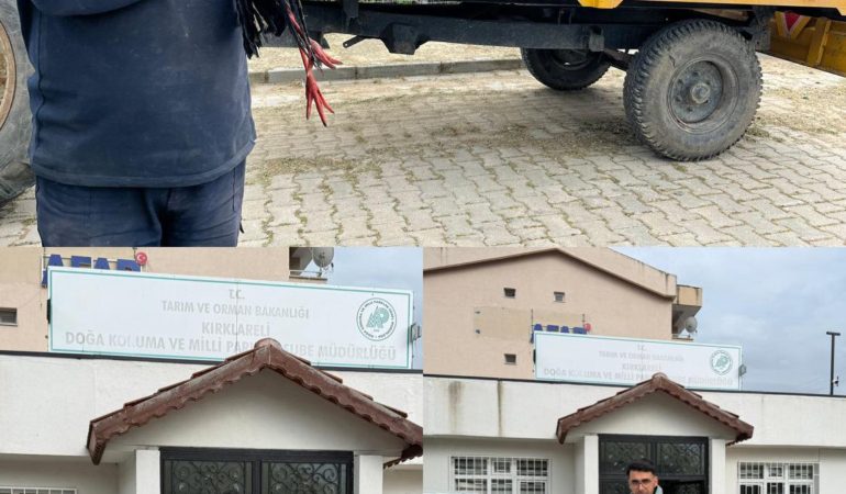 Kırklareli'nde yaralı halde bulunan leylek tedavi altına alındı