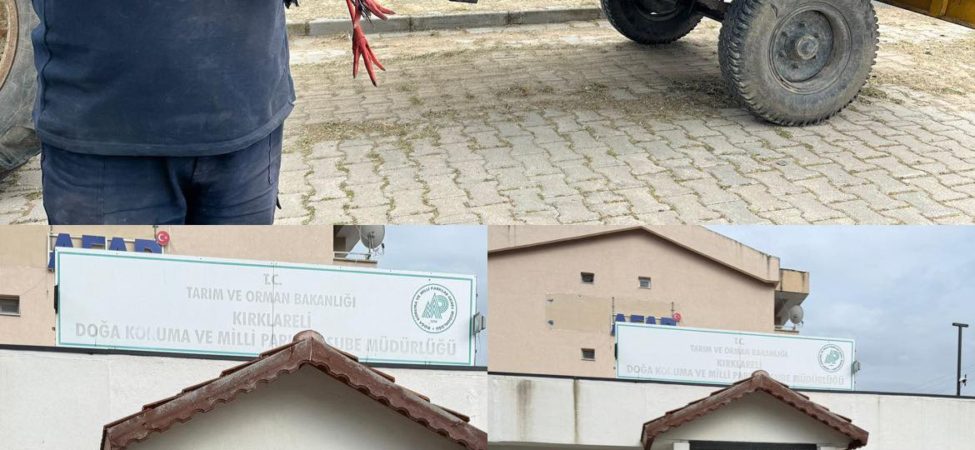 Kırklareli'nde yaralı halde bulunan leylek tedavi altına alındı