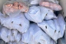 Tekirdağ'da 1500 kilogram iç yağ ve 140 kokoreç imha edildi