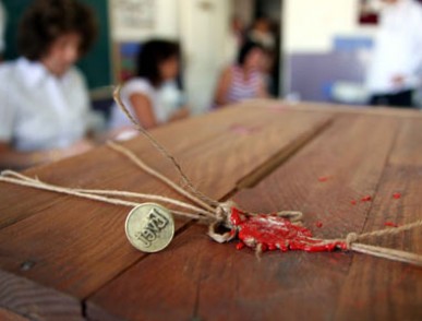 Seçimlere 25 parti girecek