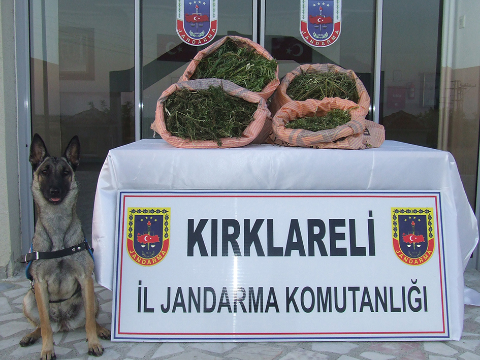 Jandarma’dan uyuşturucu operasyonu