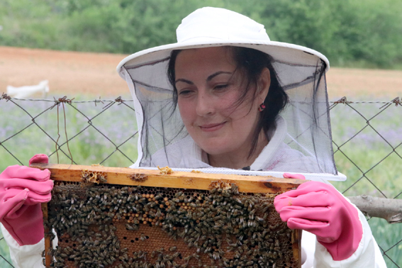 Altın kızlarım" dediği arılarıyla patroniçe oldu